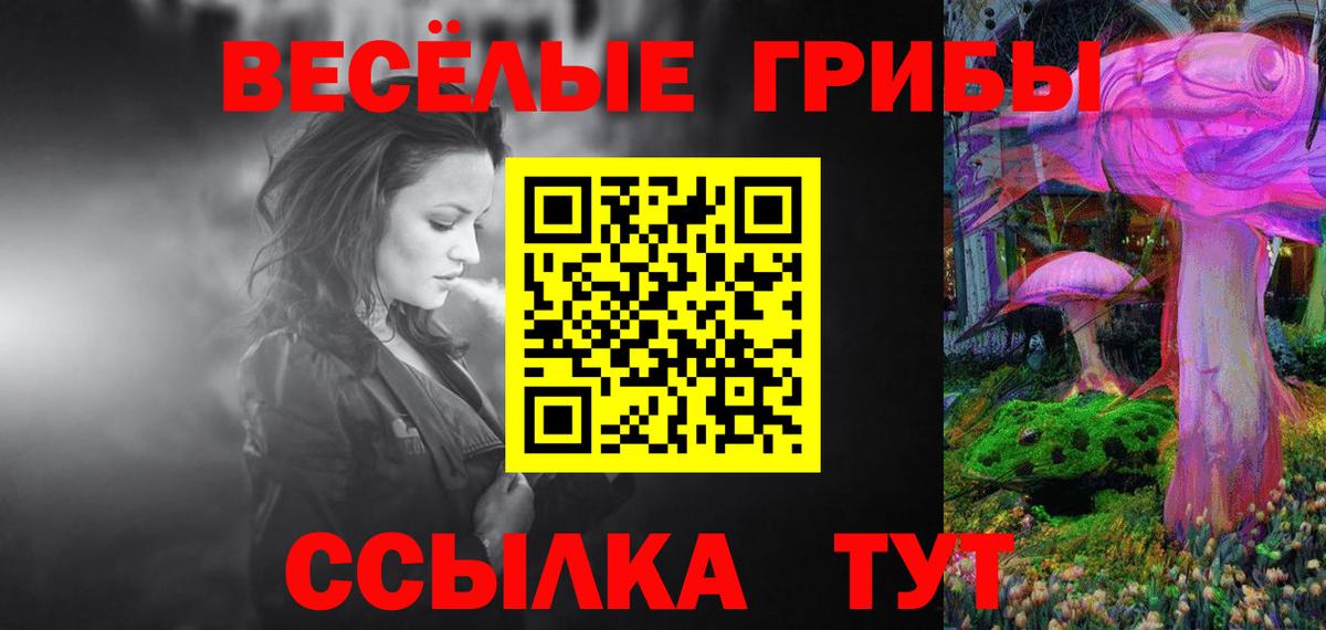 Ростов Великий  Галлюциногенные грибы Cubensis  Вход с VPN 