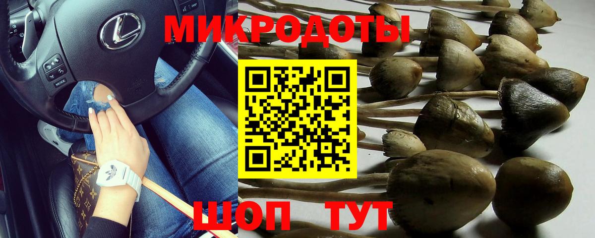 Псилоцибиновые грибы Psilocybine cubensis Ростов Великий